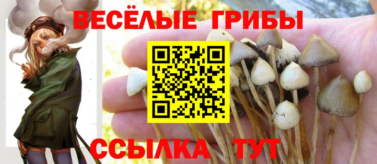 Псилоцибиновые грибы GOLDEN TEACHER  Псилоцибиновые грибы GOLDEN TEACHER  Нерюнгри  Вход с VPN 